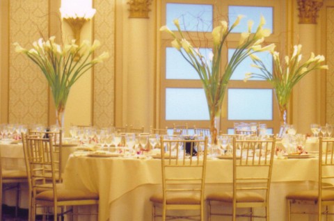 Re Pics of Calla lilly centerpieces please Here's some