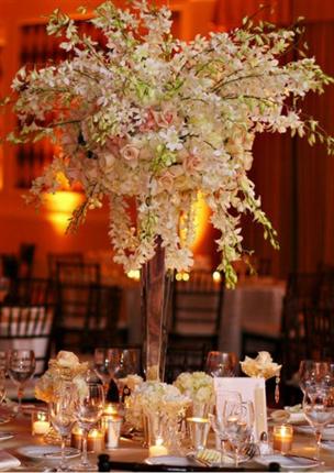 Re Orchid and or Calla Lilly Centerpieces pics please