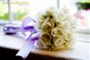 Wedding Pictures