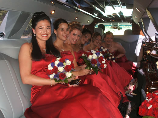 RED PURPLE WEDDING PARTY