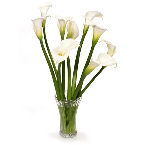 Re CALA LILY CENTERPIECES Any Pics Ladies