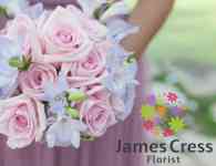 James Cress Florist-James Cress Florist James Cress Florist-James Cress Florist