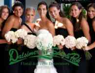 Dalsimer Spitz and Peck-Dalsimer Spitz and Peck