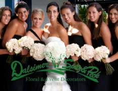 Dalsimer Spitz and Peck-Dalsimer Spitz and Peck