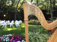 Harpist Katharine Saxton