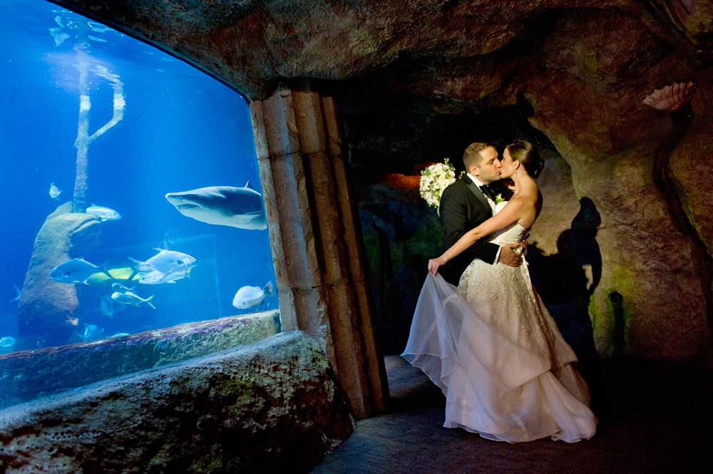 Atlantis Banquets & Events