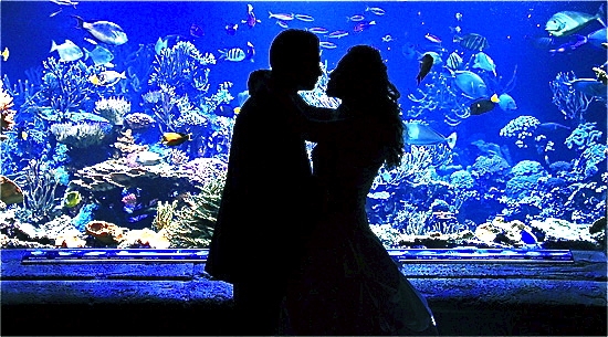 Atlantis Banquets & Events