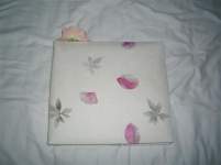 JeanetteandSteve JeanetteandSteve