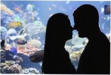 laural2979 laural2979