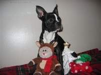 ant n tilde ant n tilde