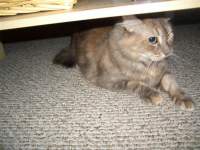 JeanetteandSteve JeanetteandSteve