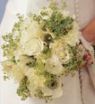 portjeffbride portjeffbride