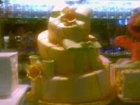 portjeffbride portjeffbride