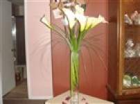 StarryEyedBride StarryEyedBride