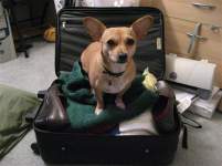 FishNBun08 FishNBun08