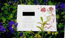 DancerBride DancerBride