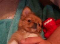 FutureMrsGK FutureMrsGK