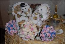 oldladybride oldladybride