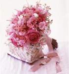 hannahshim hannahshim