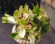 JozyLee123 JozyLee123