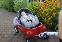 gonzo23456 gonzo23456