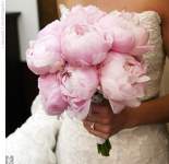 Sweet99_inc