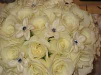 Almostawife Almostawife