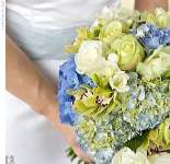 mohajeriny mohajeriny