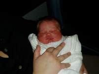 stephanief stephanief