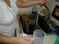 Mrs A in May Mrs A in May