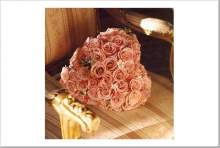 sarahbelle sarahbelle