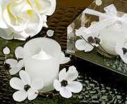 ChrissyV729 ChrissyV729