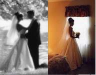 chichila15 chichila15