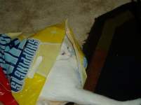 stephanief stephanief