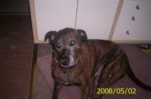 wundmoretime wundmoretime