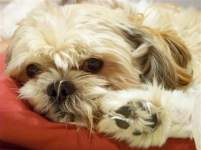 MitziandAndrew MitziandAndrew