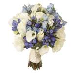 OZ_Bride_In_NYC OZ_Bride_In_NYC