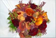 Drues_Girl Drues_Girl