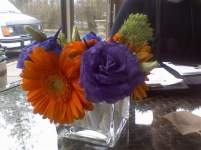 Deeglasser Deeglasser