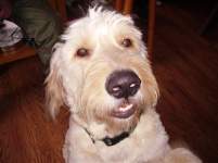 NanandEric08 NanandEric08