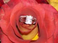 Debrian2009 Debrian2009