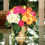 QueenPeach QueenPeach