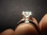 cynthia_castaldo