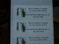 julybride06 julybride06