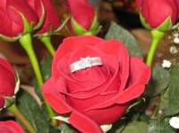 ElovesJ117 ElovesJ117