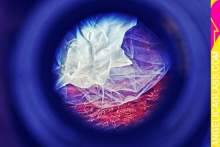 emeraldlover emeraldlover