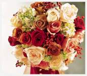 FutureMcBride FutureMcBride