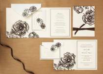 FutureMcBride FutureMcBride