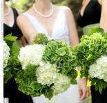 schnookie56 schnookie56