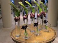 leighlo1226 leighlo1226